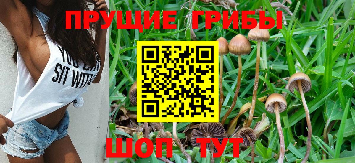 Галлюциногенные грибы мухоморы  Вход с VPN  где найти наркотики  Элиста 